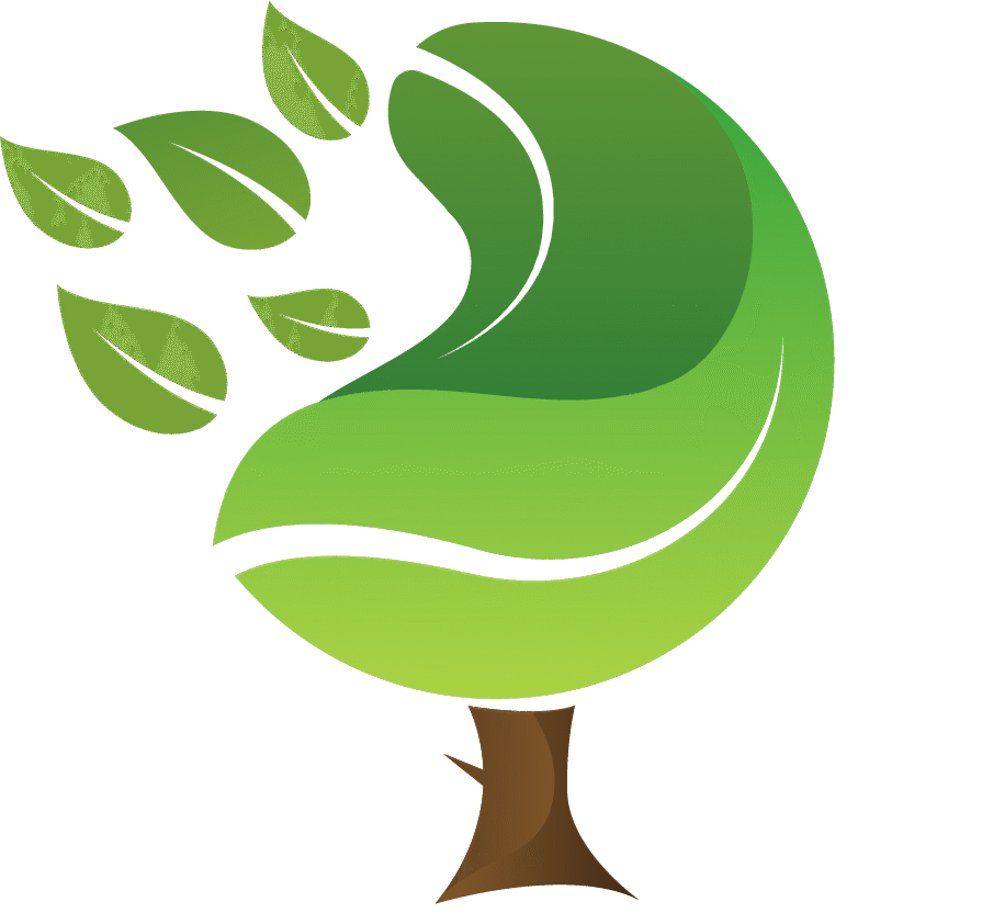 Acaciaa Logo